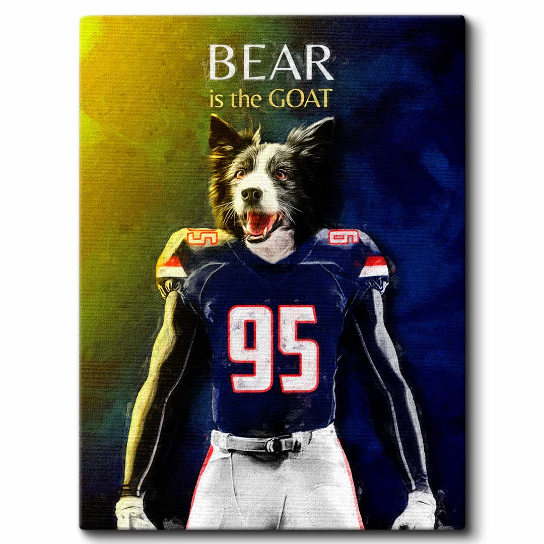 Arizona (Tucson) - Football Pet Portrait