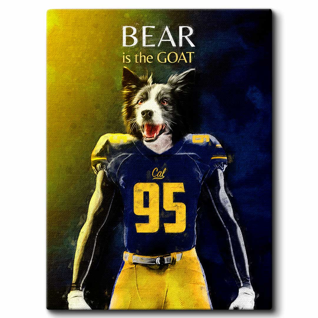 California - Football Pet Portrait