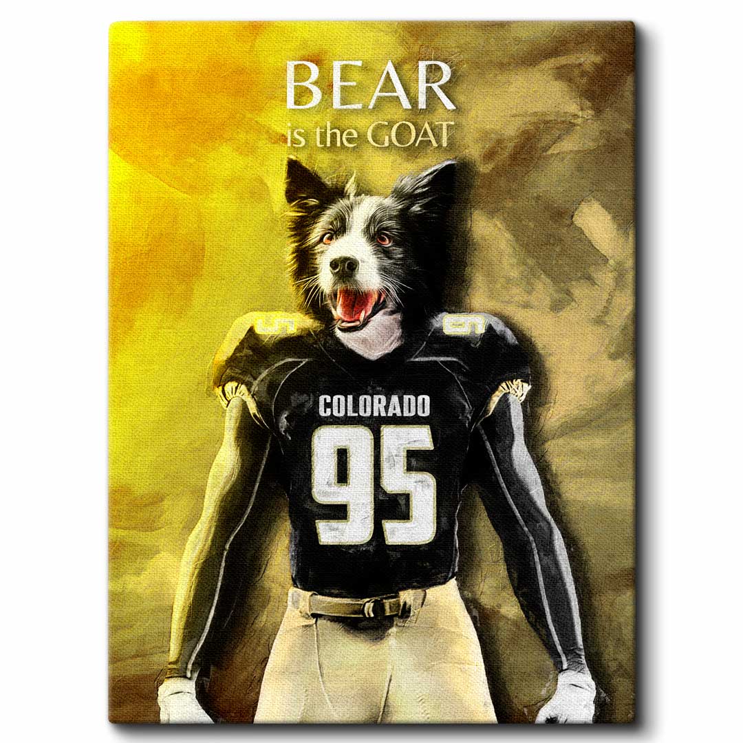 Colorado - Football Pet Portrait