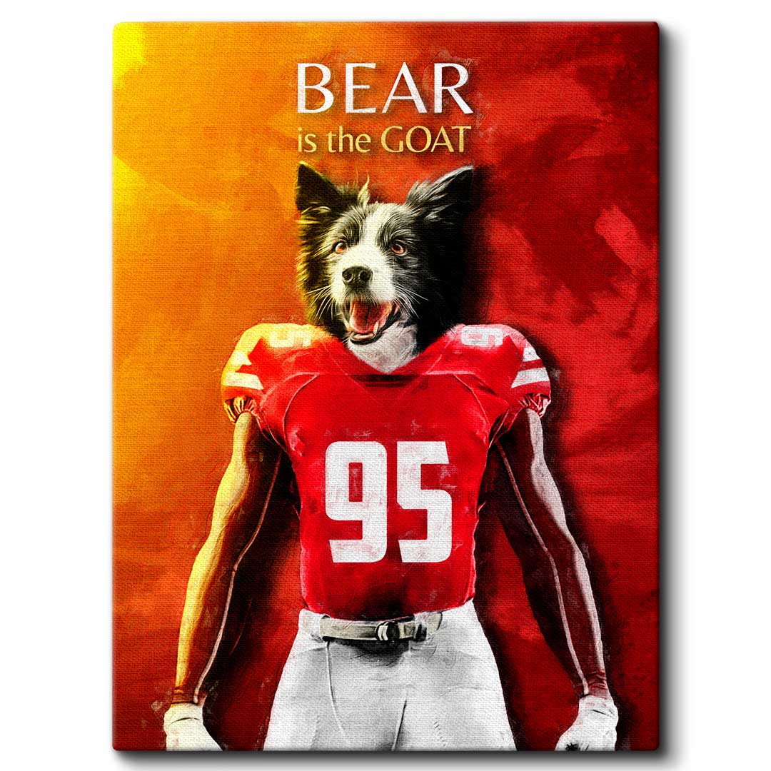 Nebraska - Football Pet Portrait