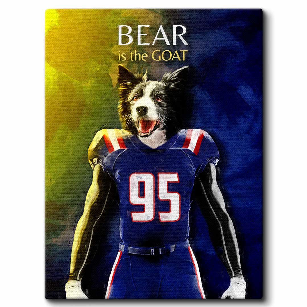 New England - Football Pet Portrait