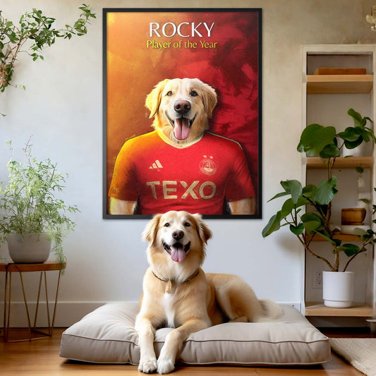 Aberdeen - Football Pet Portrait
