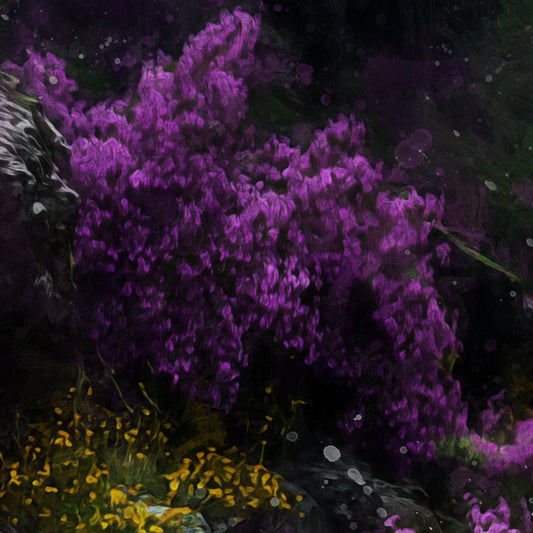 Gorge Magique - Limited Edition Artworks