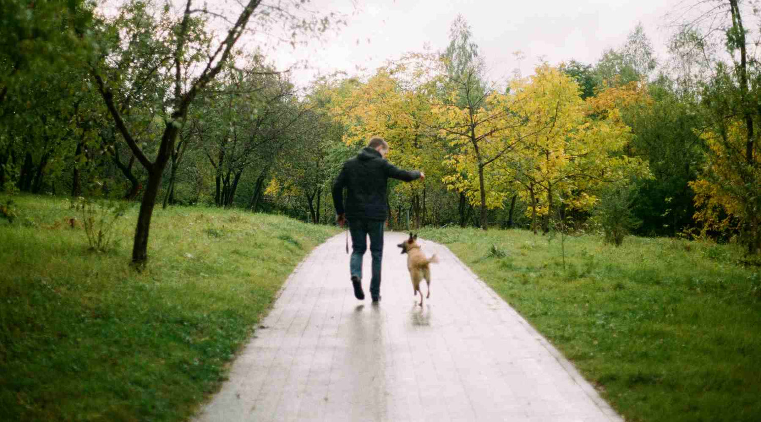 How To Make A Dog Poop Quickly Soul Carbon