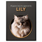 All Guests - Custom Cat Portrait