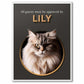 All Guests - Custom Cat Portrait