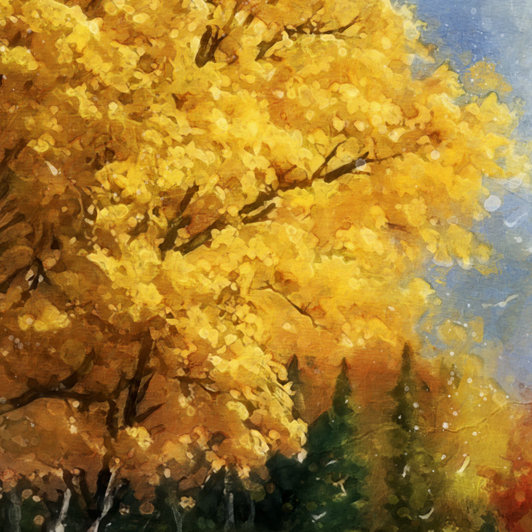 Sentier Saisonnier - Limited Edition Artworks