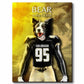 Colorado - Football Pet Portrait