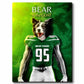 New York - Football Pet Portrait