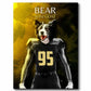 Boiler - Football Pet Portrait