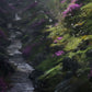 Gorge Magique - Limited Edition Artworks
