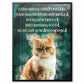 Cat Limerick - Custom Pet Poetry